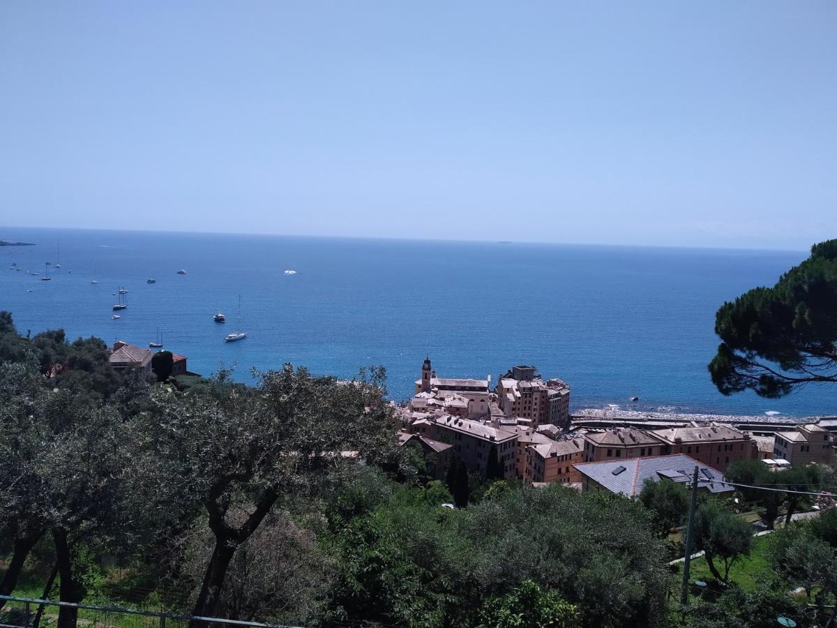 Villa San Prospero คาโมยลี ภายนอก รูปภาพ