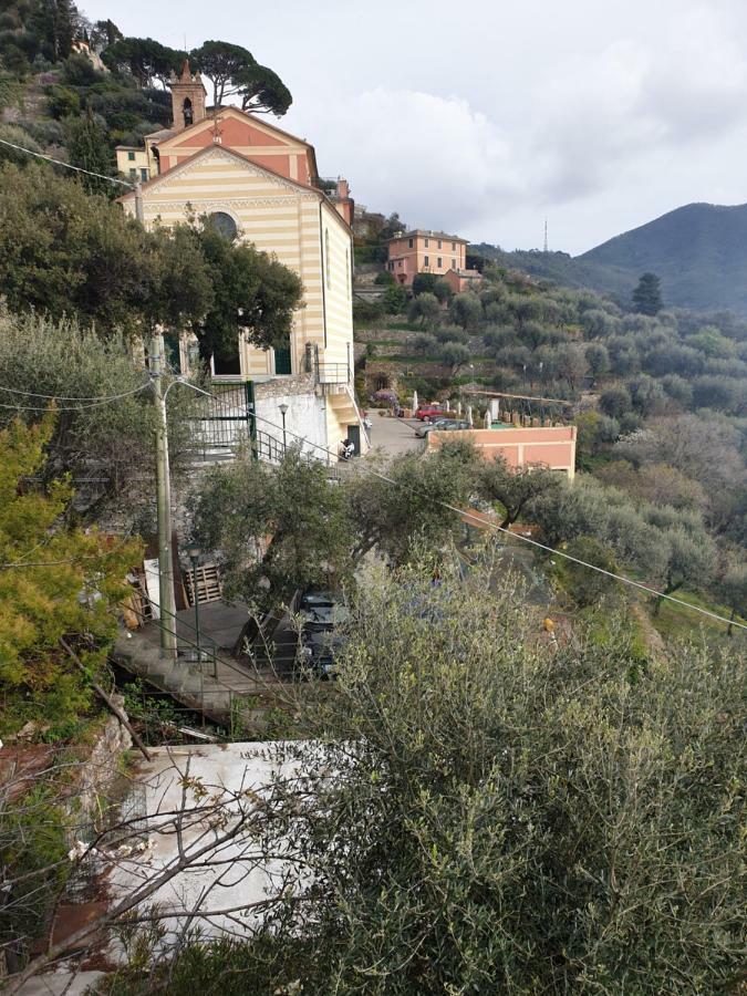 Villa San Prospero คาโมยลี ภายนอก รูปภาพ