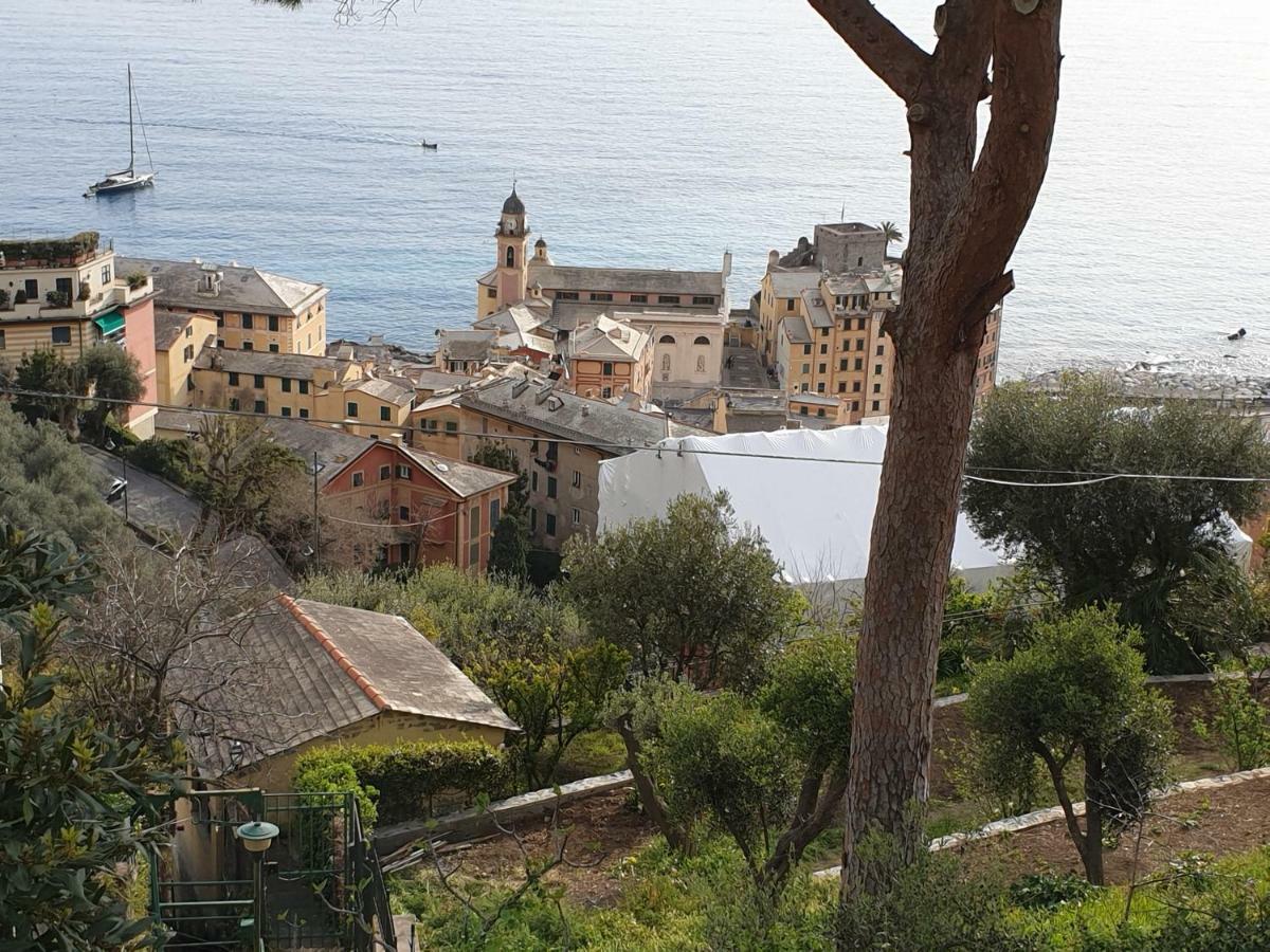 Villa San Prospero คาโมยลี ภายนอก รูปภาพ